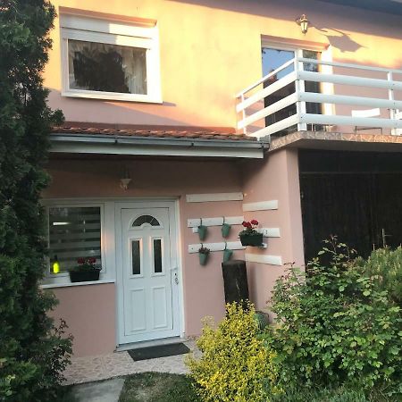 Apartmani Stojanovic Sremska Kamenica Dış mekan fotoğraf