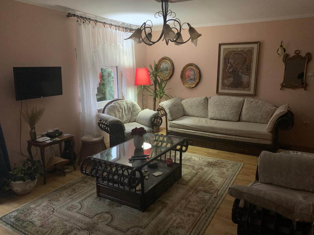 Apartmani Stojanovic Sremska Kamenica Dış mekan fotoğraf