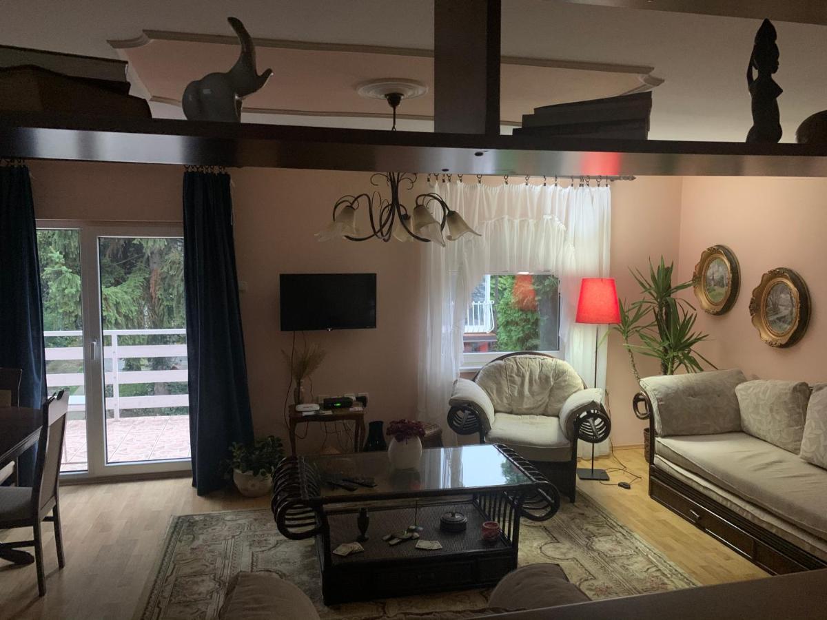 Apartmani Stojanovic Sremska Kamenica Dış mekan fotoğraf