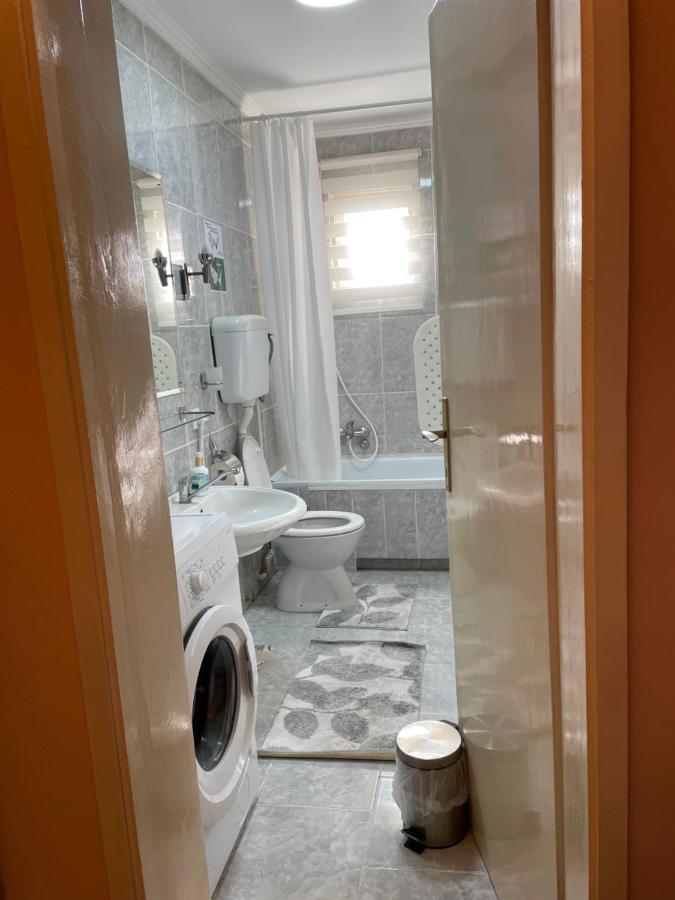 Apartmani Stojanovic Sremska Kamenica Dış mekan fotoğraf