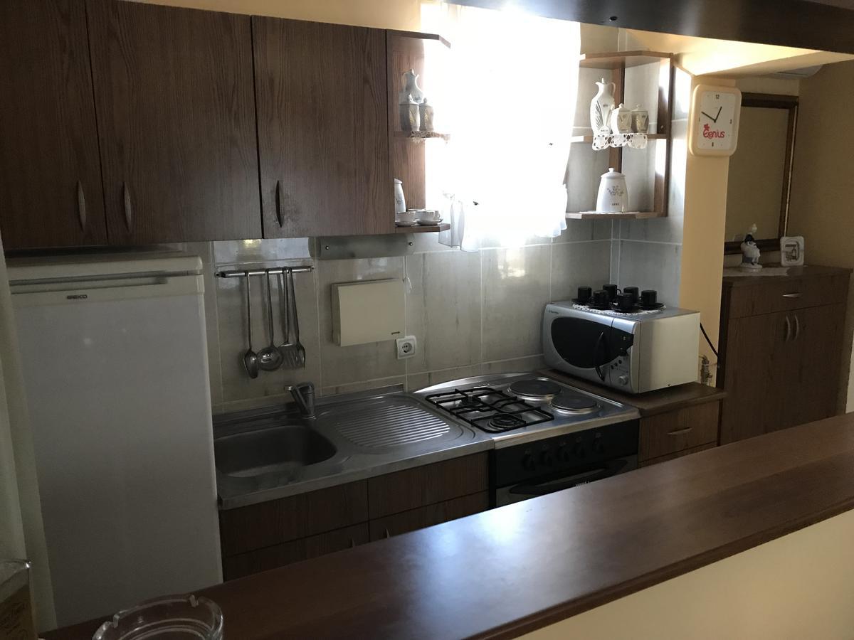 Apartmani Stojanovic Sremska Kamenica Dış mekan fotoğraf