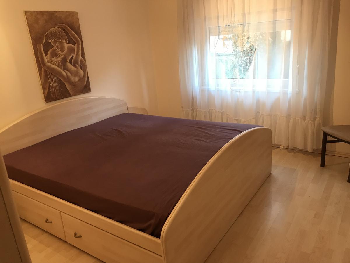 Apartmani Stojanovic Sremska Kamenica Oda fotoğraf