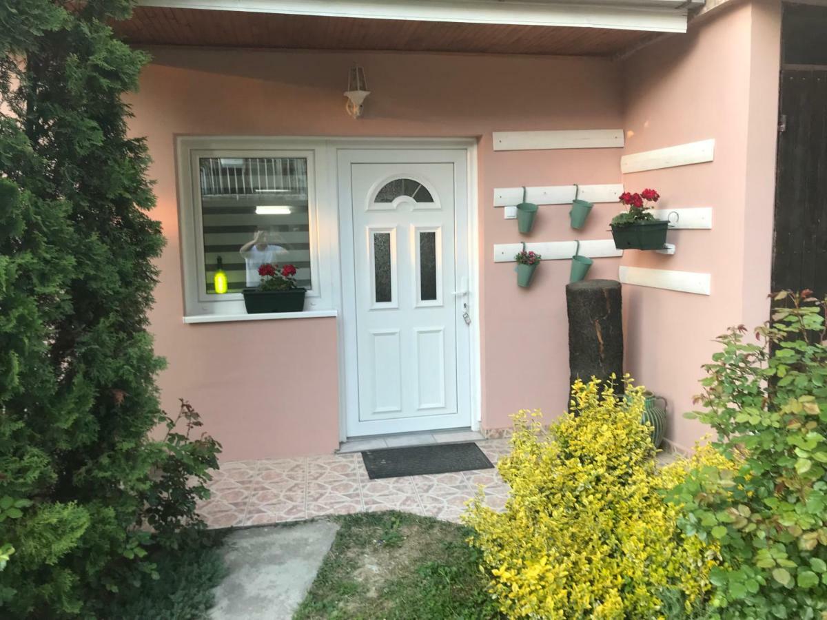 Apartmani Stojanovic Sremska Kamenica Dış mekan fotoğraf