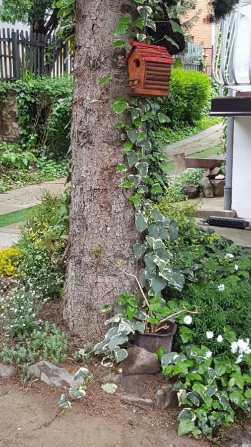 Apartmani Stojanovic Sremska Kamenica Dış mekan fotoğraf