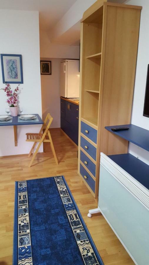 Apartmani Stojanovic Sremska Kamenica Dış mekan fotoğraf