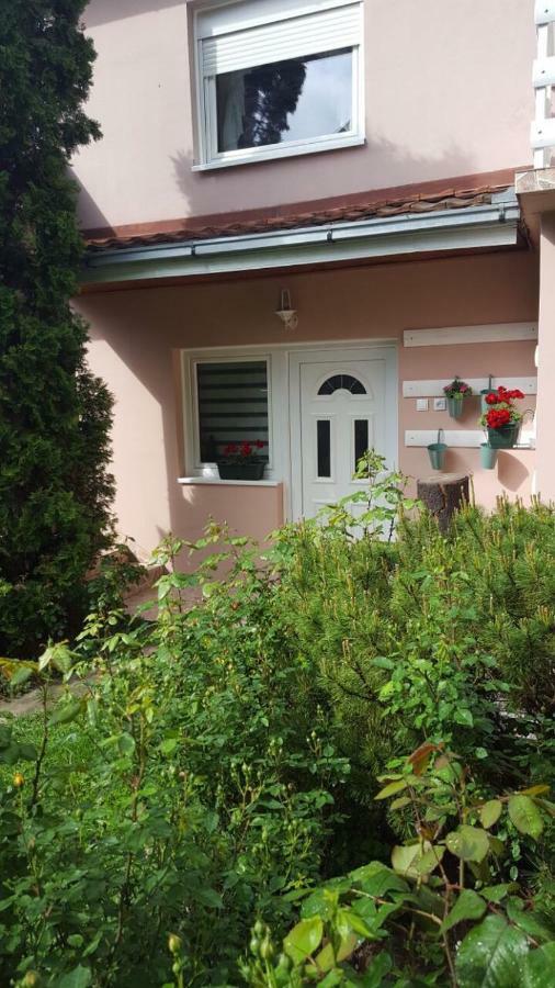 Apartmani Stojanovic Sremska Kamenica Dış mekan fotoğraf