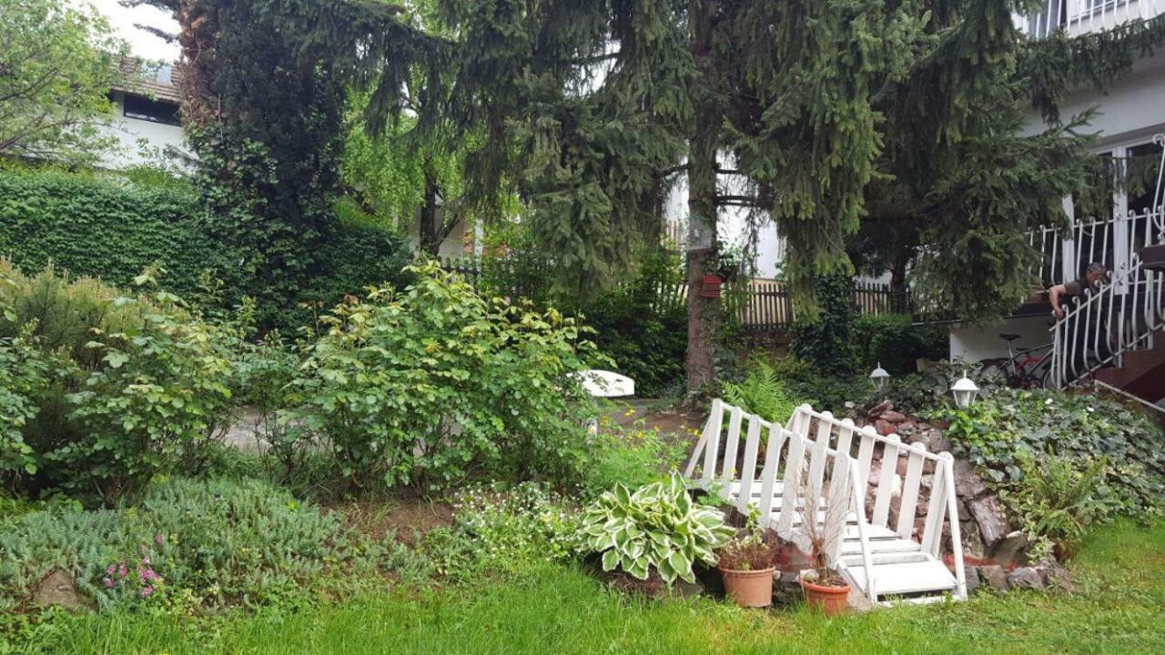 Apartmani Stojanovic Sremska Kamenica Dış mekan fotoğraf
