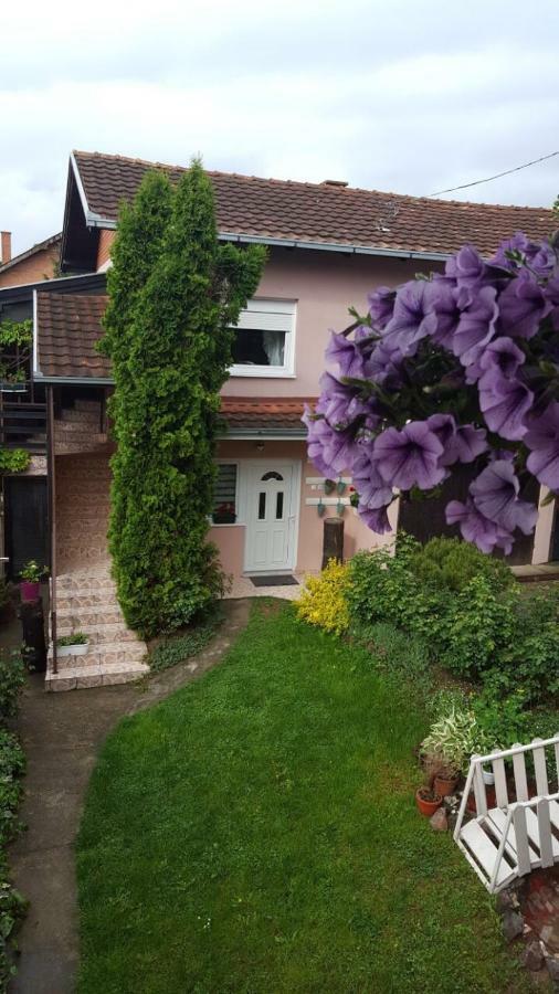 Apartmani Stojanovic Sremska Kamenica Dış mekan fotoğraf