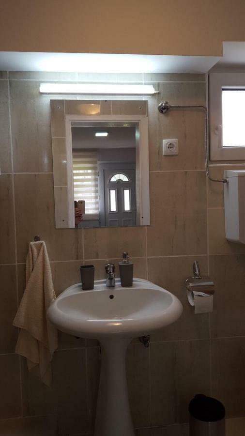 Apartmani Stojanovic Sremska Kamenica Dış mekan fotoğraf